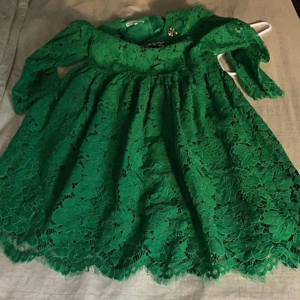 Flowers & Still Girls Green Lace Dress Embellished with a Crystal Firefly. Sz 8. - Picture 3 of 8